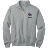 Curry College NuBlend 1/4-Zip Cadet Collar Sweatshirt