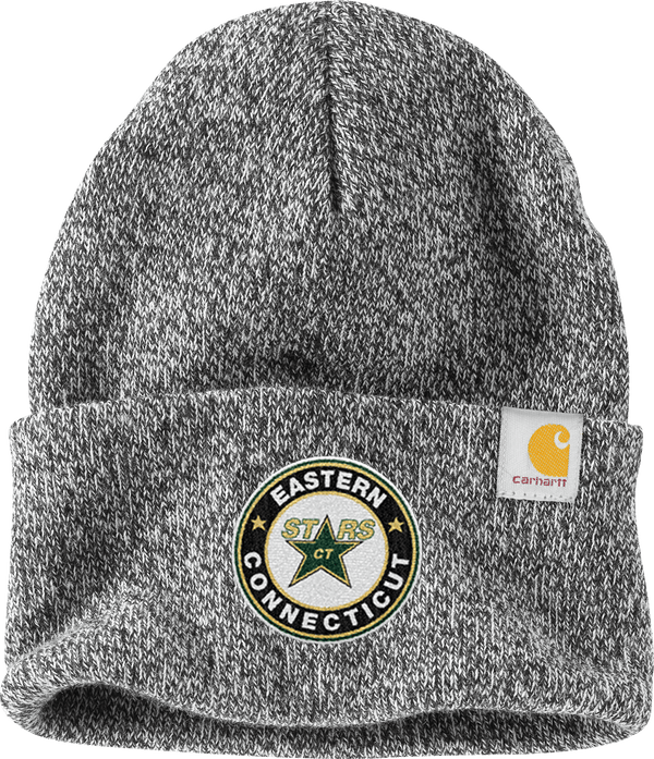 CT ECHO Stars Carhartt Watch Cap 2.0
