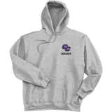 Curry College Ultimate Cotton - Pullover Hooded Sweatshirt